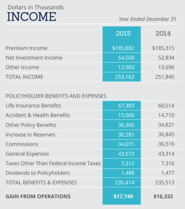 Income Chart